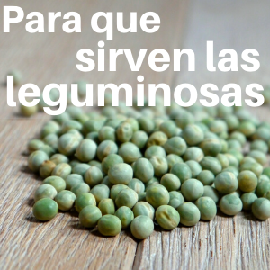 Para qué sirven las leguminosas (Fuente de proteínas)